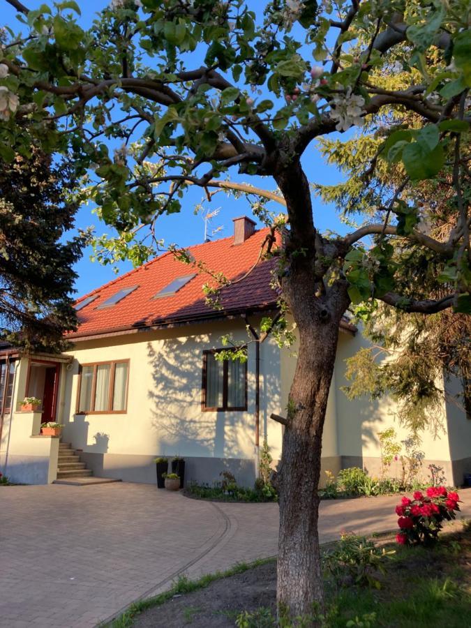Willa Witkacy Słupsk Exteriör bild